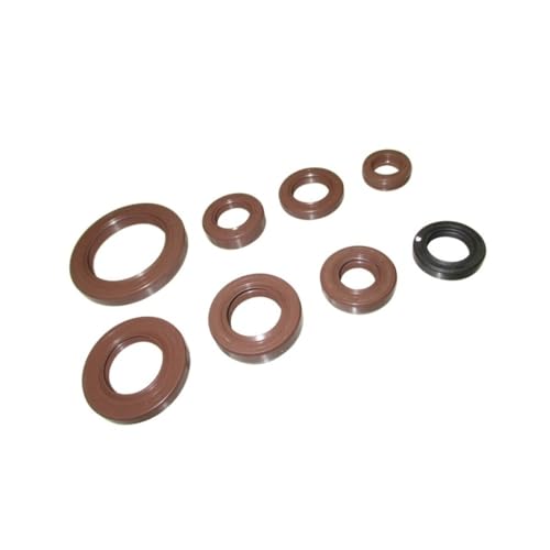Evita fugas de aceite con sellos NC250 para motor ZS177MM de moto de cross 250cc