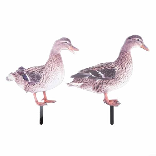 Yuanpgky Décoration de jardin en forme de canard en acrylique pour cour et pelouse – Statue d'animal réaliste avec base pointue insérée au sol, pour une décoration de jardin durable résistante aux