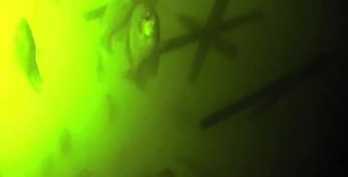 Mossback Fish Habitat Fish Magnet Artificial Fish Habitats And Fish Attractors For Lakes And Ponds #TOP7