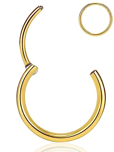 PIERCINGBOY 6mm 20g Gold Nose Rings Titanium Nose Ring Hoop