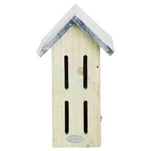 Esschert Design VC3 1 x vlinderkast