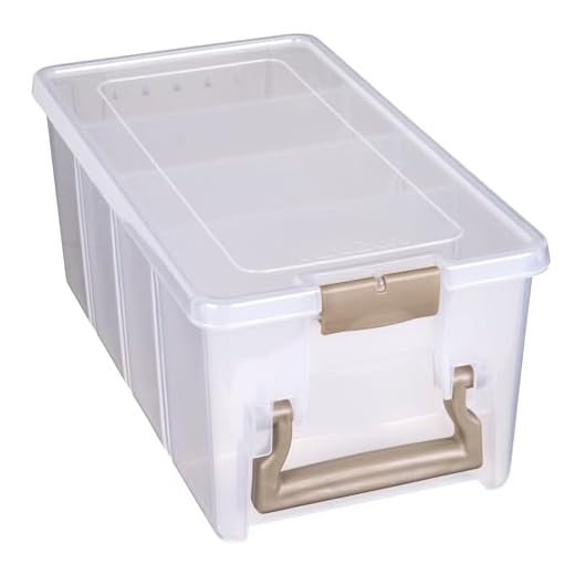ArtBin 6925AB Semi Satchel con 3 divisori rimovibili, organizer portatile per arte e artigianato con manico, [1] custodia in plastica, trasparente, oro, 0