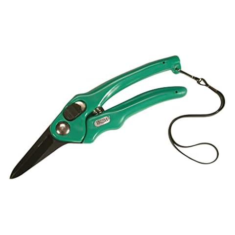 Burgon & Ball Burgon und Ball Footrot Schere Supersharp, Clear, Unisex Cover