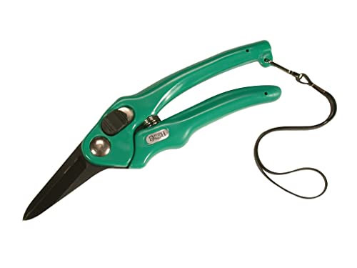Burgon & Ball Footrot Schere Supersharp - Clear, Unisex, BBL0038