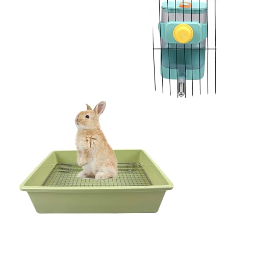 How long can a bunny go without water