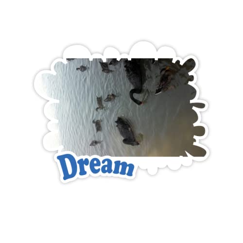 Gruppo del Cigno Nero. Adesivi Citazione Sogno Decalcomanie in Vinile