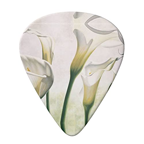 Beauty Flowers Lot de 6 médiators pour guitare acoustique, guitare électrique, basse, ukulélé – fins, moyens et épais - Les Beatles, Paul McCartney, John Lennon, RIngo Starr, George Harrison Beauty Flowers Lot de 6 médiators pour guitare acoustique, guitare électrique, basse, ukulélé – fins, moyens et épais – Image 4
