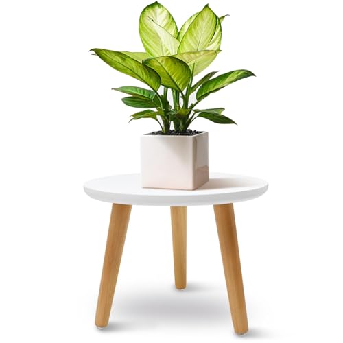 JNUYISW Support de Plantes en Bois, Blanc Lourdeur Tabouret pour Plantes Rond avec 3 Pieds pour...