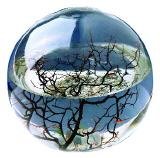 EcoSphere