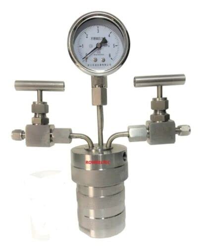 Hydrothermal Synthesis Autoclave Reactor Vessel + Inlet Outlet Gauge 25ml 6Mpa