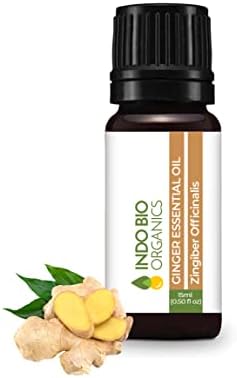 INDO BIO ORGANIC Ginger Essential Oil – 100% Pure & Undiluted | Belly Drainage Oil for Inflammatory Muscles, Pain Relief & Aromatherapy | Hair & Skin Care Oil (15ml)