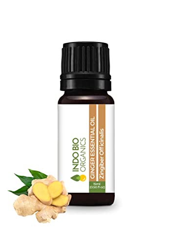 INDO BIO ORGANIC Ginger Essential Oil – 100% Pure & Undiluted | Belly Drainage Oil for Inflammatory Muscles, Pain Relief & Aromatherapy | Hair & Skin Care Oil (15ml)
