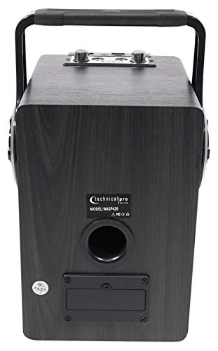 Technical Pro Wasp420 Bluetooth Karaoke Machine System W/Tv Led's Bundle With Mic & Stand #TOP3