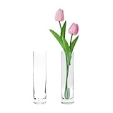 Clear Glass Cylinder Bud Vases,Small Clear Skinny Single Flower Vase for Centerpieces - Minimalist...