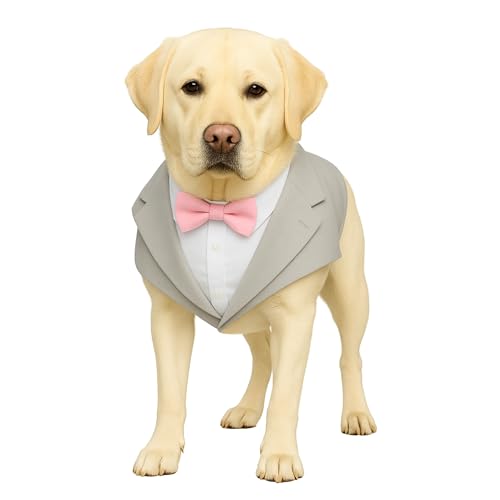Image of Buraq Premium Dog Wedding Suit, Elegant Tuxedo with Bow Tie & Bandana, Comfortable, Washable Outfit for Dogs (L - Grey)
