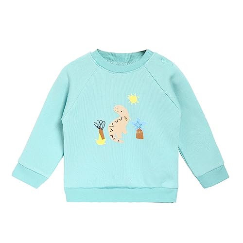 Image of miniklub Boys Blue Printed Sweatshirt