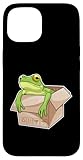 Frosch Karton