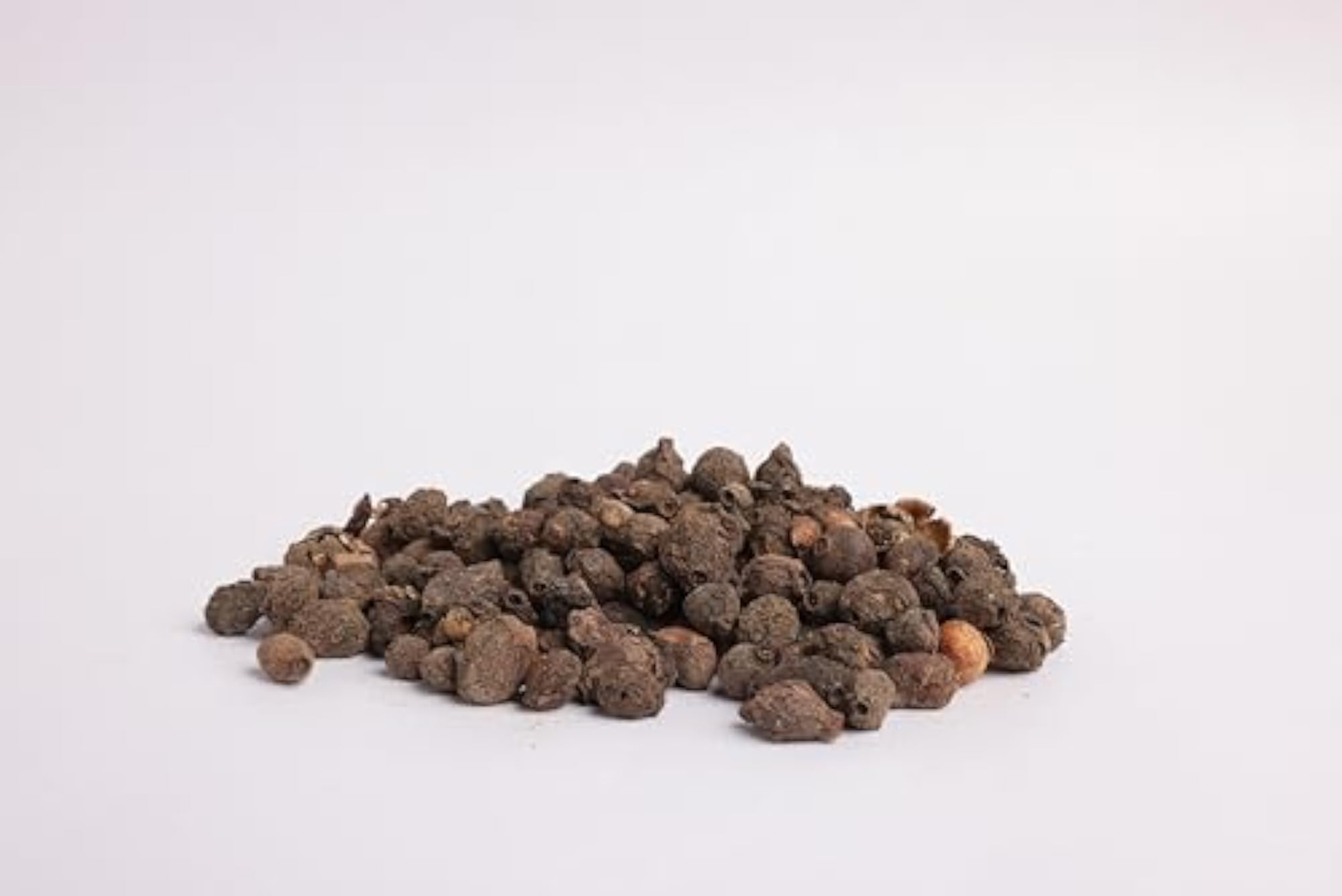 OGOC Jamun Seeds, 100g
