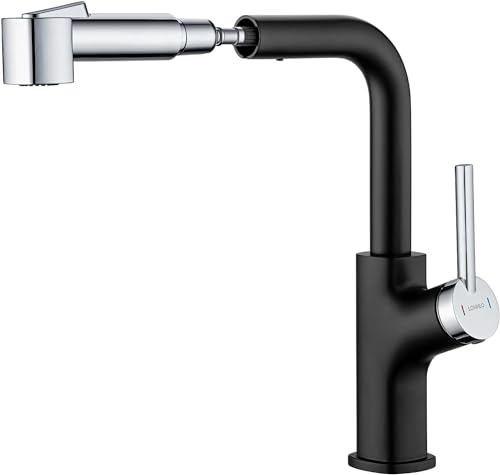 Llizuia Küchenarmatur Edelstahl - Ausziehbar Mit 2 Strahlarten 360°