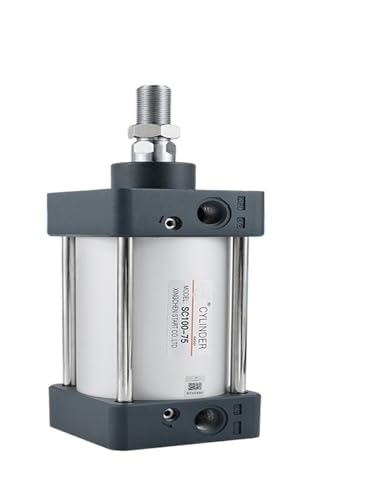Cylindre pneumatique SC robuste avec course de 50mm pour piston - 2