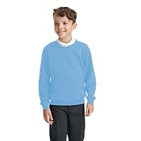 Integriti Schoolwear Boys Girls Unisex Jumper Sweatshirt Crew Neck Round Neck School Uniform Ages 1-15 Sky Blue