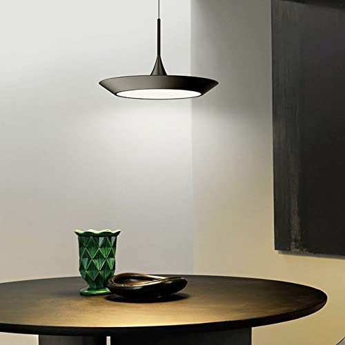 Lampe à LED minimaliste de plafond en fer suspendue pour décoration de restaurant