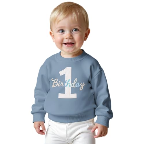 Baby Boy 1st Birthday Embroidered Sweatshirt