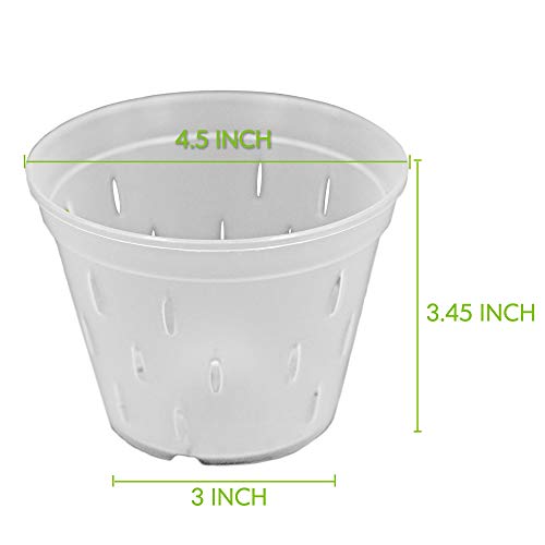 https://m.media-amazon.com/images/I/31mCHjS2ToL._SL500_.jpg