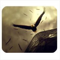 独特なデザイン カスタマイズ Cool Eagle かっこいい鷹画像 マウスパッド Personalized Mouse Pad Diy Mousemat 並行輸入品 Amazon Co Jp