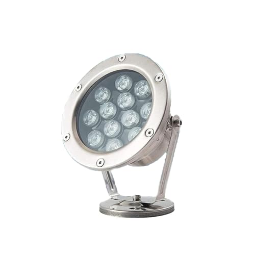 JOUFNING Luce LED Sommergibile Per Fontana - Luce Subacquea Per Piscina, Luci Per Laghetti Da Esterno Impermeabili IP68, Illuminazione Paesaggistica A Bassa Tensione Da 12V(White,12W)