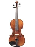 D Z Strad viola Model 120 with Strings, Case, Bow, Shoulder rest, and Rosin (15.5')