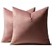 MIULEE Pack of 2 Decorative Velvet Pillow Covers Soft Square Throw Pillow Covers Soild Cushion Covers Jam Pillow Cases for Sofa Bedroom Car 18 x 18 Inch 45 x 45 cm