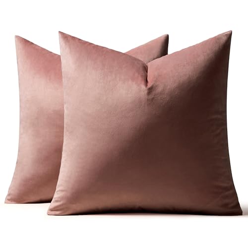 MIULEE Velvet Throw Pillow Covers 18x18 Inch, Pack of 2 - Jam, Soft Solid Decorative Pillow Covers Cushion Cases Modern Luxury Home Decor for Spring Couch Sofa Bedroom Livingroom