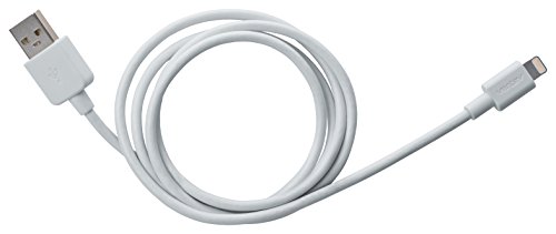 Câble connecteur Lightning Apple blanc de 1m Essentials