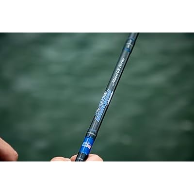 Dobyns Rods Maverick Series
