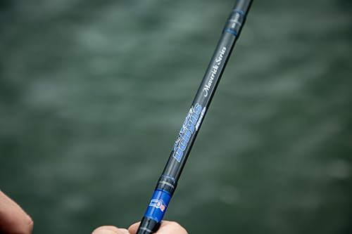 dobyns rods maverick series