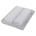 FRAM CA10190 Extra Guard Flexible Rectangular Panel Air Filter