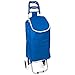 Acan Carro de la Compra de 33 L de Capacidad con Unas Medidas de 95x36x27 cm. Carro Plegable con Ruedas en Distintos Colores.Bolsa con Ruedas para Compra.(Colores Surtidos)