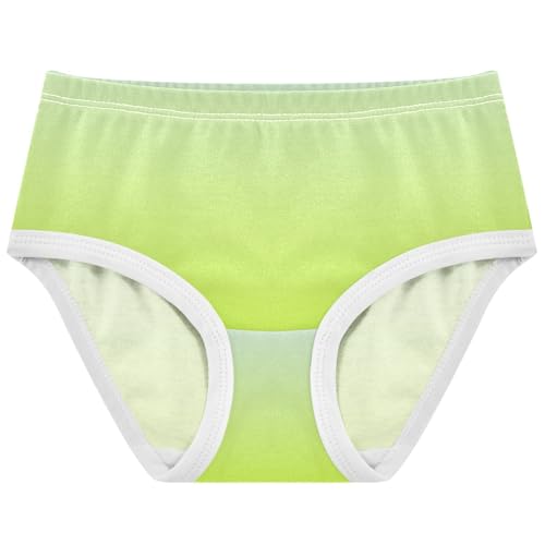 Joisal Toddlers Underwear Floral 2t Cotton Panties for Girl Stylish Underpants Briefs Lime Green Blue Gradient