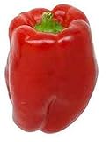 Chinese Giant Red Bell Pepper Seeds (25+ Seeds)