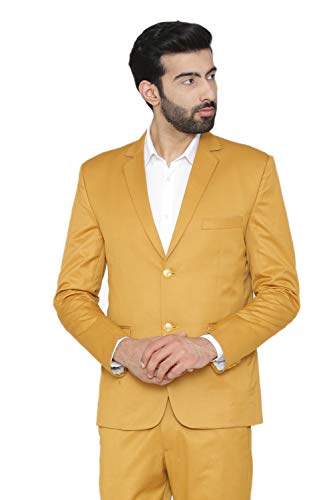 Image of WINTAGE Men's Regular Fit Blazer