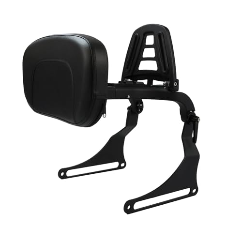 Barre Sissy et dossier réglable haut de gamme finition Whole Black pour Harley 2018-2025
