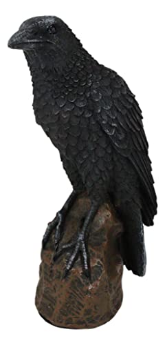 Ebros Gift Gothic Raven Figurine Crow Scavenger Bird Perching On Rock Sculpture 6