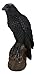 Ebros Gift Gothic Raven Statue Crow Scavenger Bird Perching On Rock Figurine 6" H Ossuary Macabre Harbinger of Doom Ravens Crows Death Creature