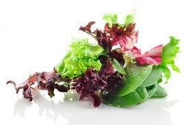 Divya seeds Lettuce Mixed Salad Leaves 100% Organic Seeds - 50 Seeds (B018O4HD3K) Amazon Price History, Amazon Price Tracker