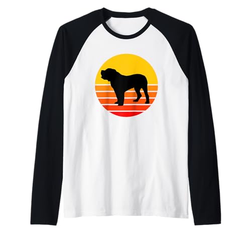 Hunderasse Spanischer Alano Hund Sonnenuntergang Raglan