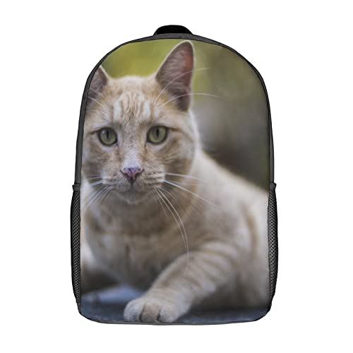 Sac d'école adolescent imprimé 3D chat grand format 17 pouces