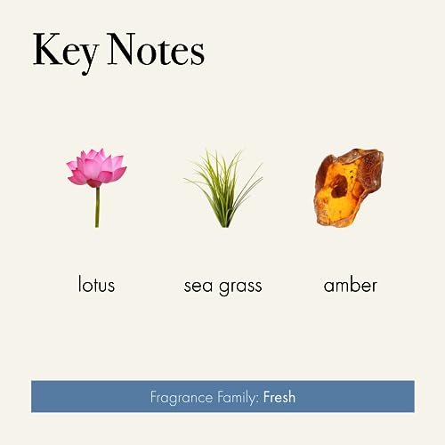 LAFCO New York Signature Candle, Sea & Dune - 15.5 oz - 90-Hour Burn Time - Reusable, Hand Blown Glass Vessel - Made in The USA