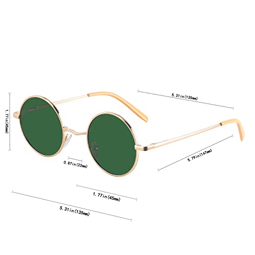 Image of Vintage Small Round Polarized Hippie Sunglasses for Men Women Circle Sun Glasses NP1002