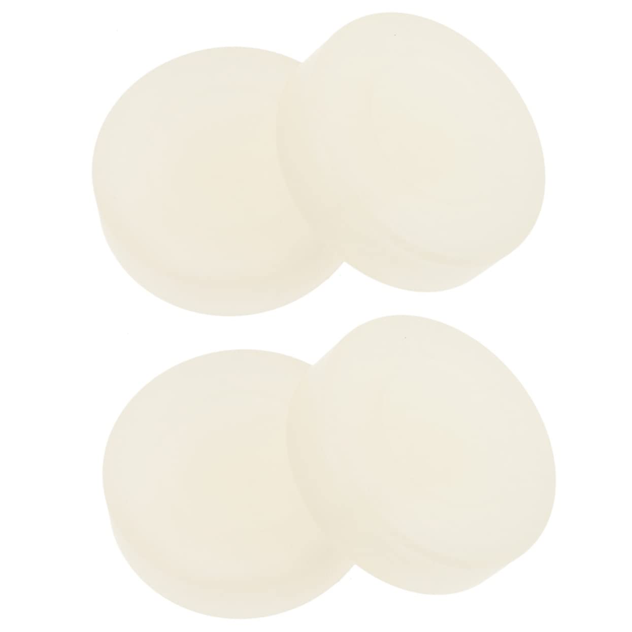 Milisten 4pcs Ice Hockey Pucks for Daily Training Lightweight Hockey Accessories for Indoor Practice for Cultivating Skills Interest Young Players